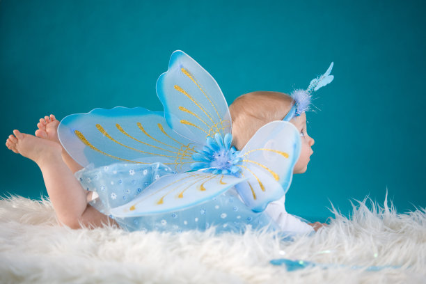 蝴蝶宝宝图片下载