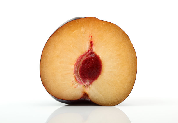 李横截面图片下载