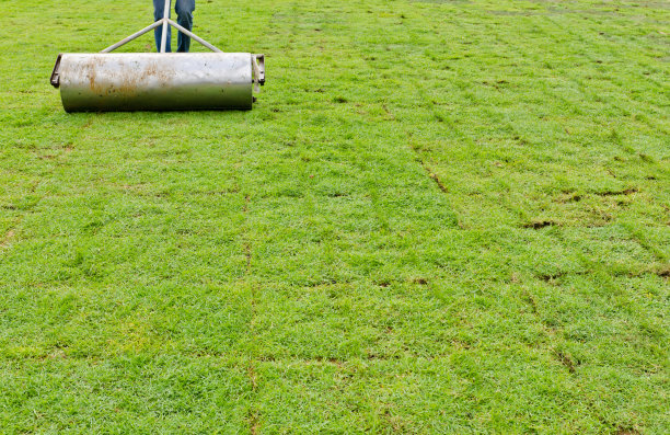 草工人图片下载