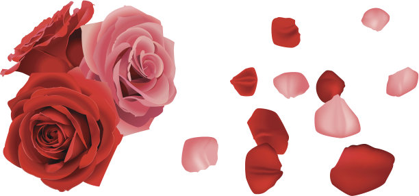 花瓣凋零的玫瑰图片下载