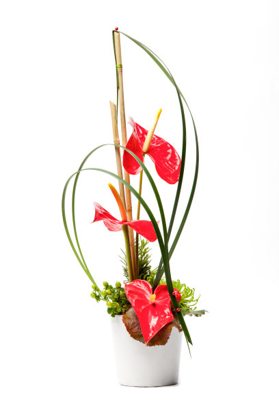 极简的红色和绿色插花图片下载