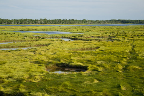 高潮时的盐沼图片下载