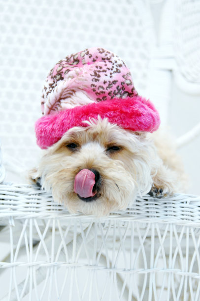 舔她的嘴唇图片下载