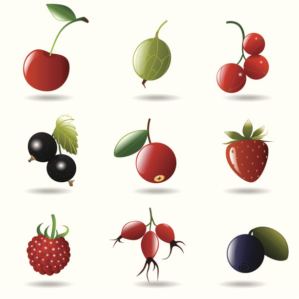 浆果图标设置图片下载