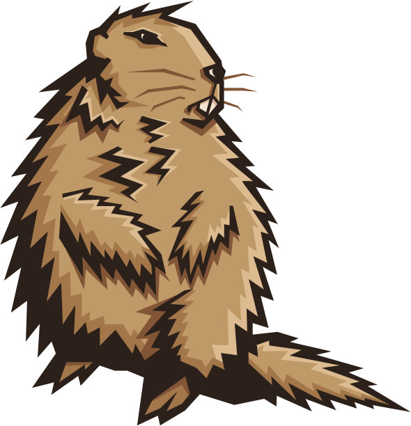 土拨鼠图片下载