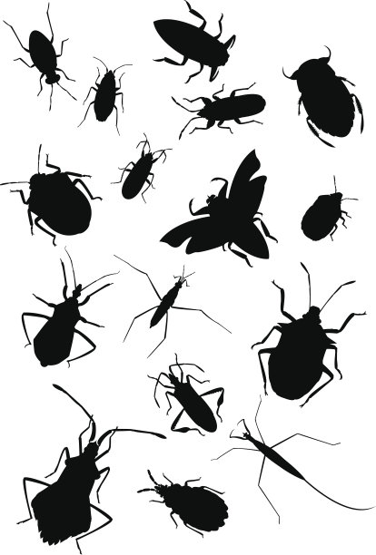 真正的bug集合图片下载