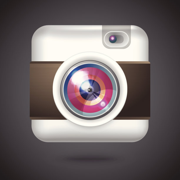 矢量图标的复古照片相机图片下载