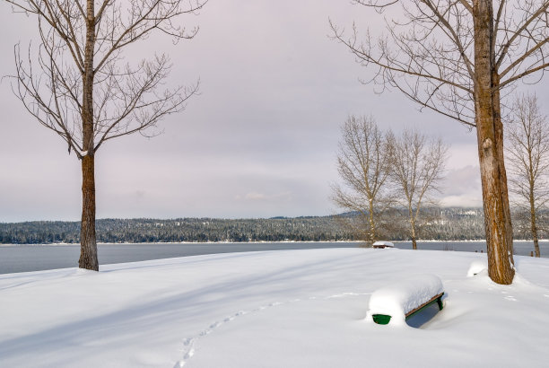 雪覆盖了爱达荷州的城市公园图片下载