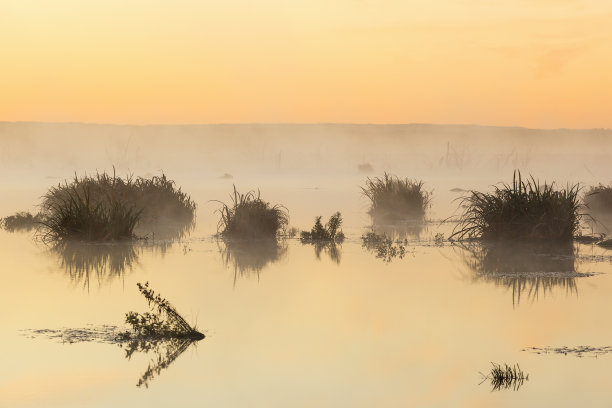日出轮廓图片下载