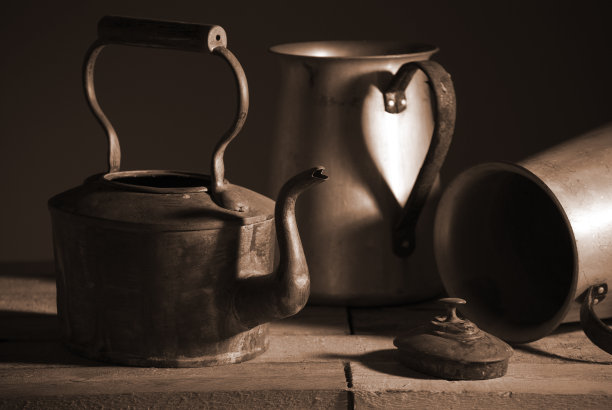 乌贼静物图片下载