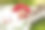 可爱的小女孩在花园里玩玩具素材图片