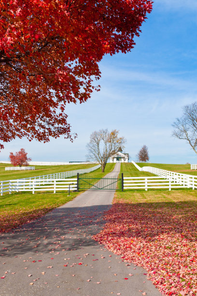 农村的深秋。图片下载