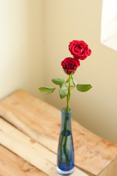 蓝色花瓶里的两朵玫瑰图片下载