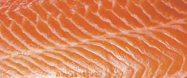 新鲜的大马哈鱼图片下载