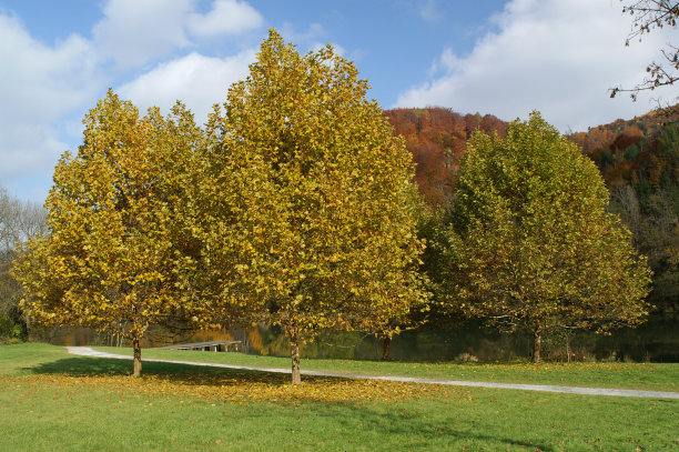 湖边的秋天图片下载