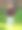 小男孩在后院玩图片下载