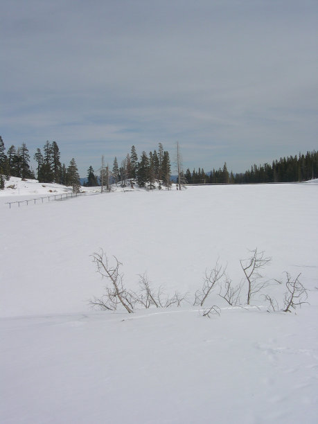 冬天的风景图片下载