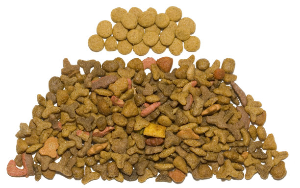 宠物餐盘图片下载