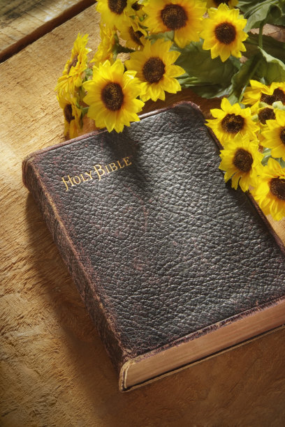 古董圣经上粗糙的木材与野花图片下载