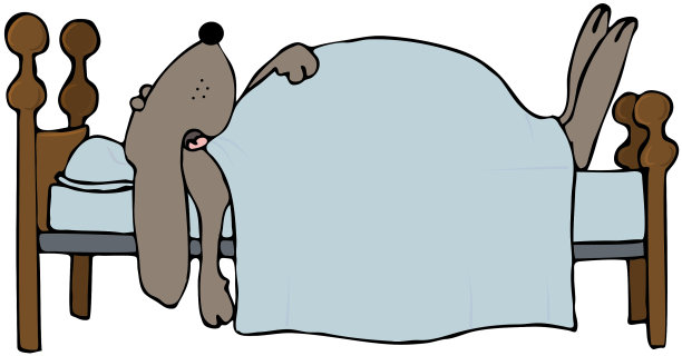 睡觉的狗图片下载