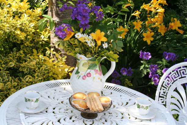 瑞典夏天的花园图片下载