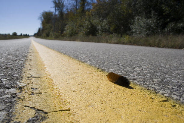 十月之路错误图片下载