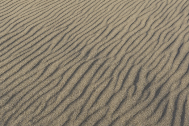沙背景图片下载