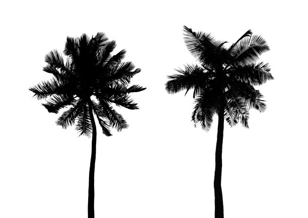 轮廓的手掌图片下载