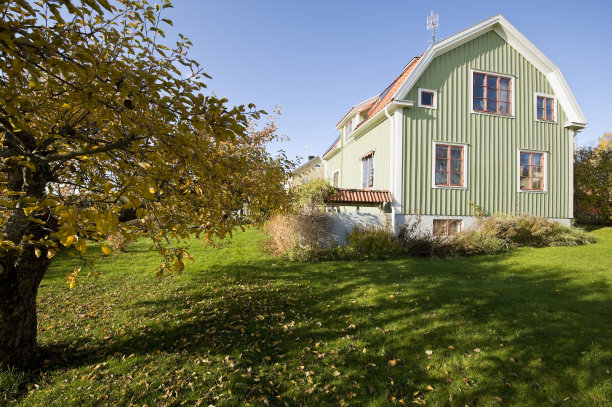 绿色的房子图片下载