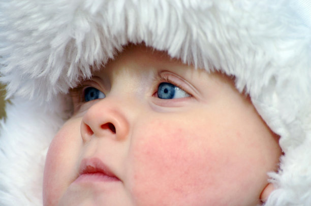 蓝眼睛白帽子的小男孩图片下载