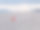 Lost on Frozen Lake Laberge育空T图片下载