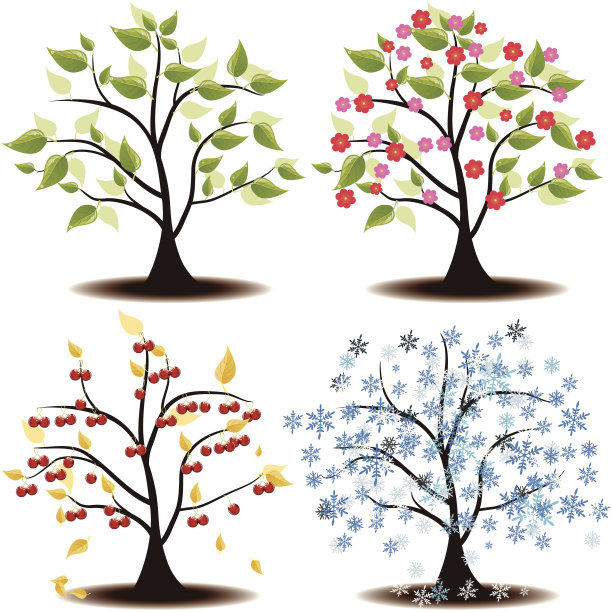 四季州的樱桃树图片下载