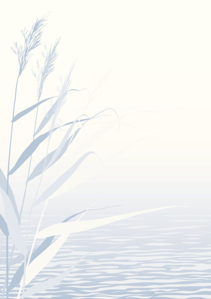 雾水上的芦苇图片下载