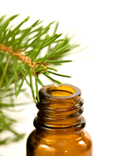松树精油图片下载