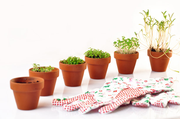 装有幼苗和工具的小花瓶图片下载