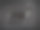 狗对低调照片图片下载