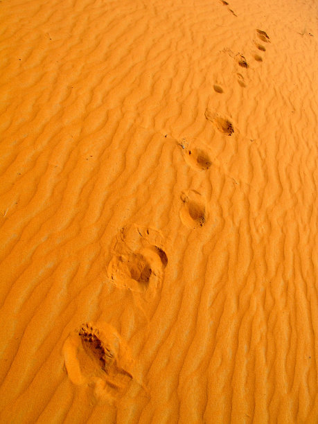 红色沙漠图片下载