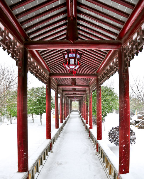 白雪覆盖的景观吗?图片下载