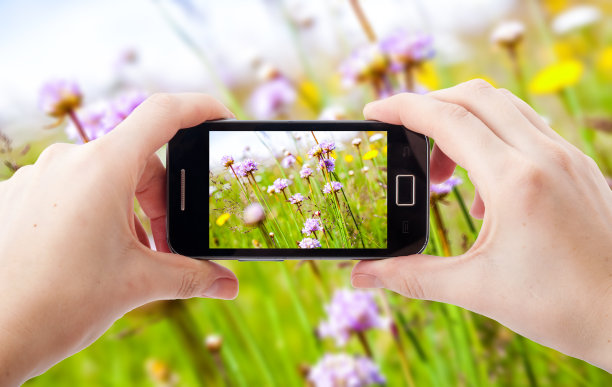 手机摄影图片下载