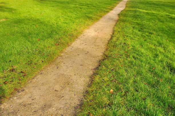 行人路径图片下载