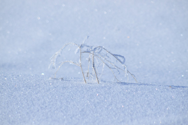 孤独的图片下载