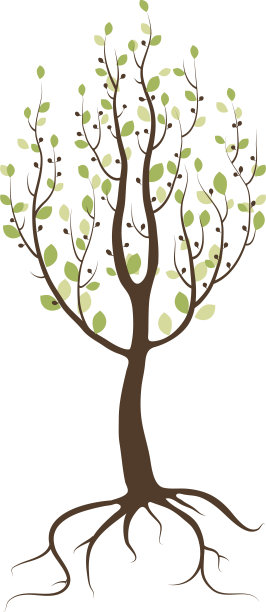 白色背景上的一棵树图片下载