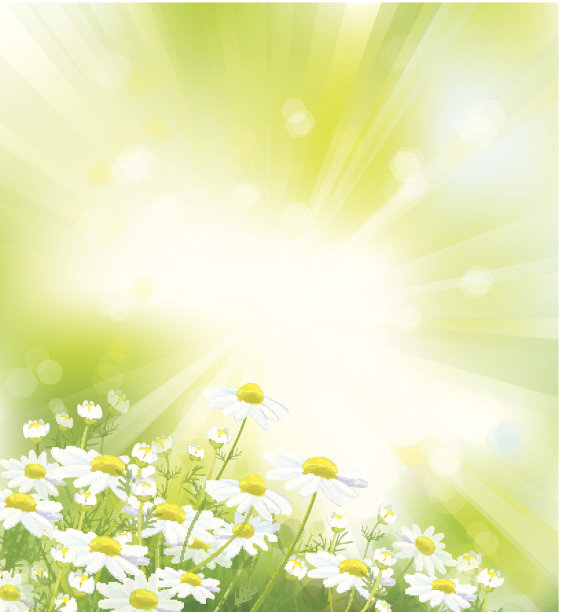 天空背景向量与白色洋甘菊图片下载