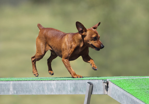 折叠运行图片下载