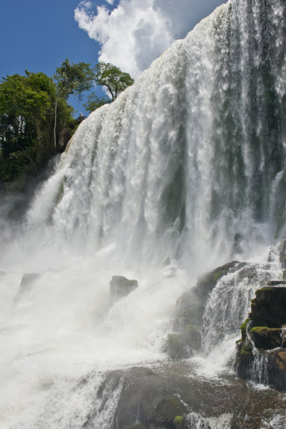 萨尔托·博塞蒂在伊瓜苏瀑布图片下载