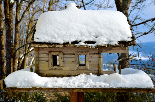 有雪的微型木屋图片下载