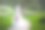 新娘在绿色的公园里散步图片下载