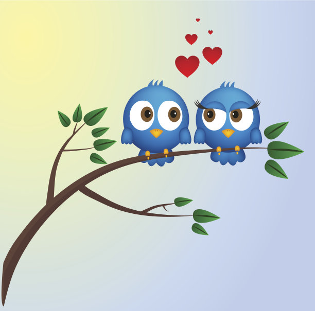 恋爱中的两只鸟图片下载