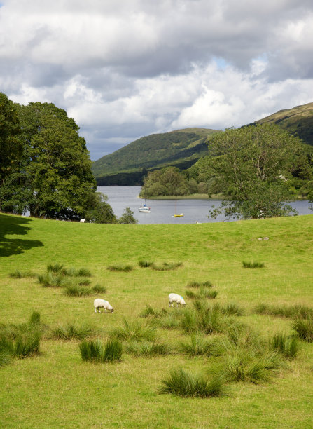 Coniston水图片下载