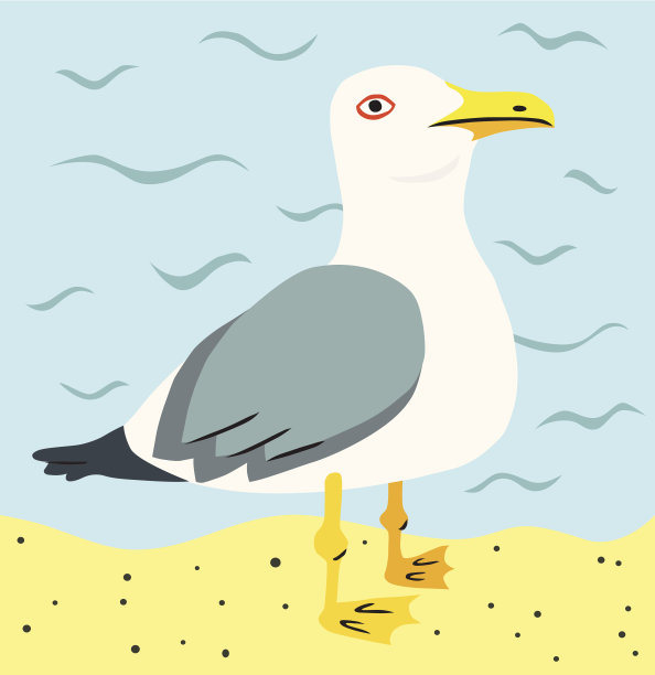 海滩上的海鸥图片下载